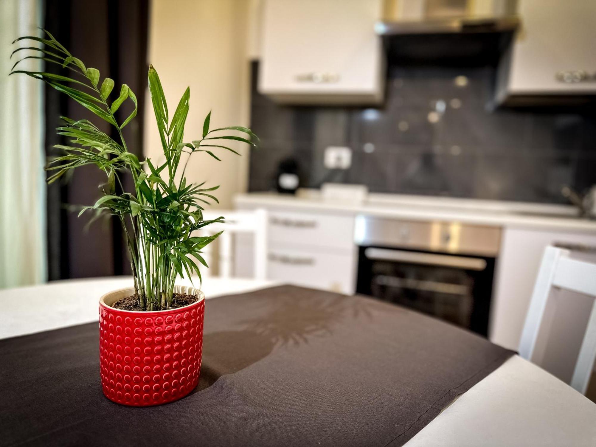 Da Rossella Apartment โรม ภายนอก รูปภาพ